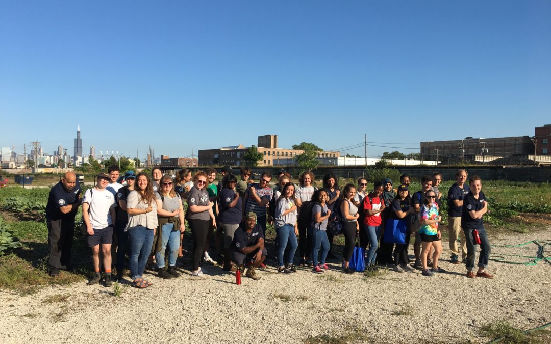 Farming in the City: A Day of Service in Honor of 9/11